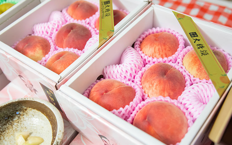 [New] Freshest Peach, Melons, direct from Japan J Passport Selection
